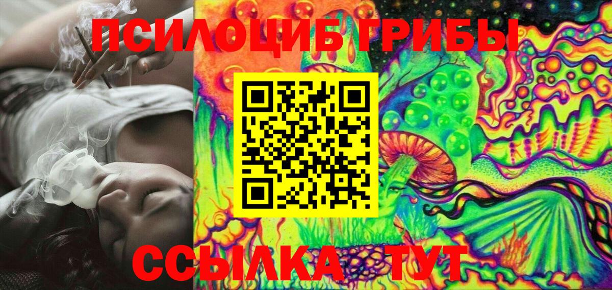 Псилоцибиновые грибы Cubensis  Вход с VPN  Назрань  Галлюциногенные грибы Cubensis 